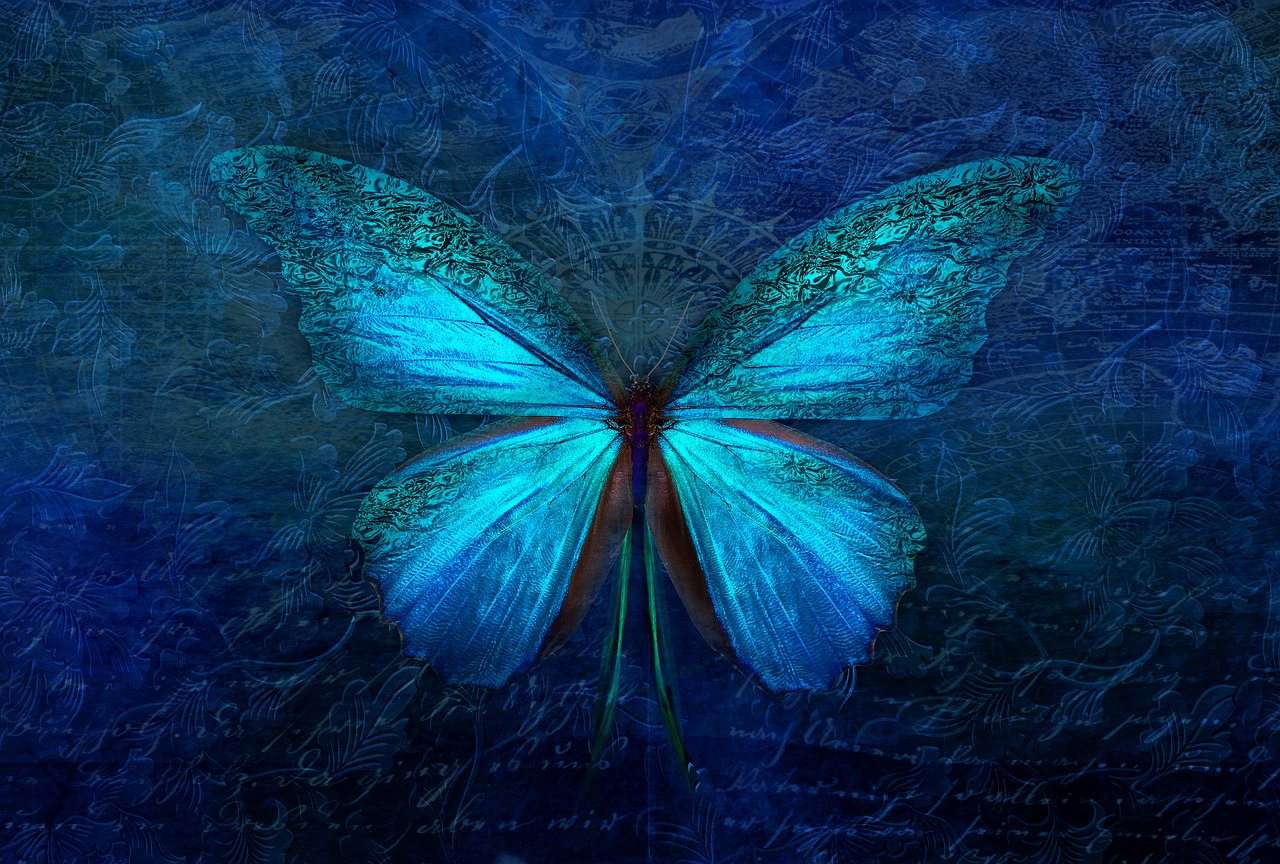 Blauwe Vlinder