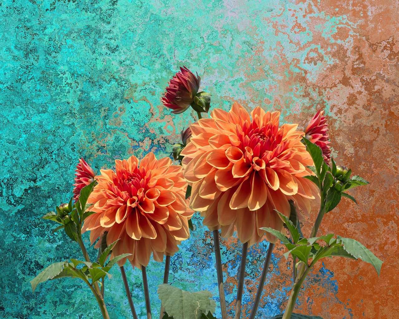 De Kunstige Dahlias