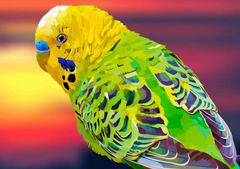 Groene Parkiet