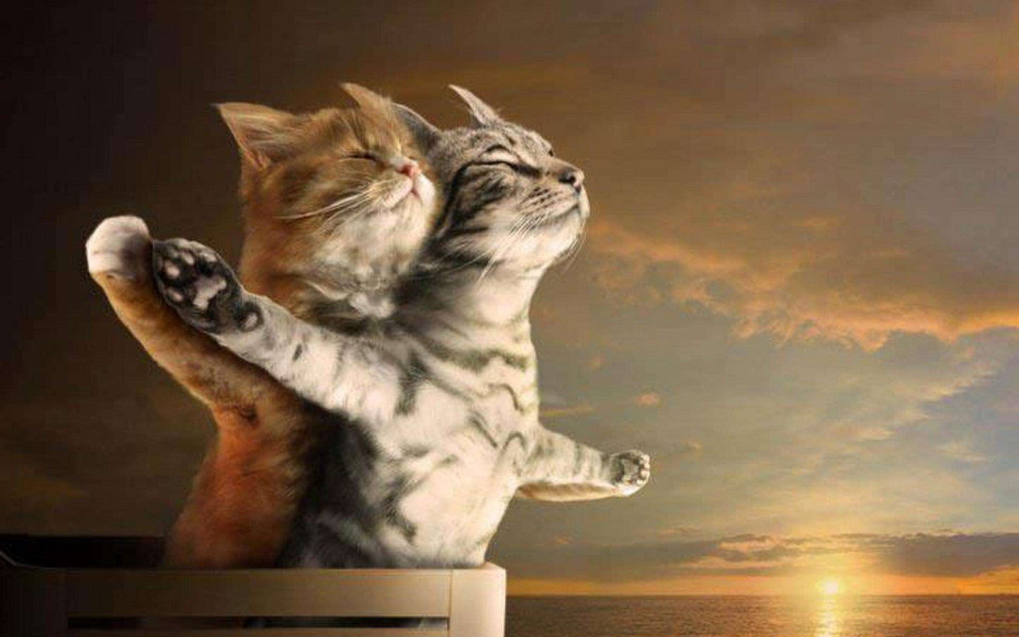 Katten Titanic