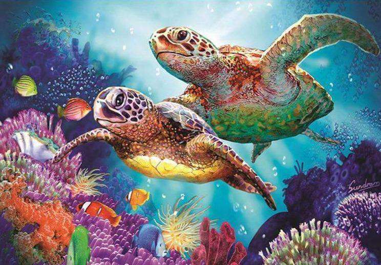 Bunte Schildkröten