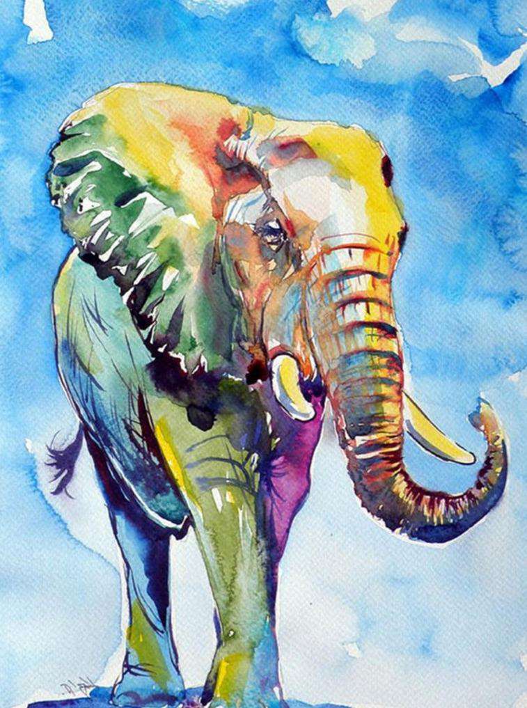Kleurrijke Olifant Blauwe Lucht