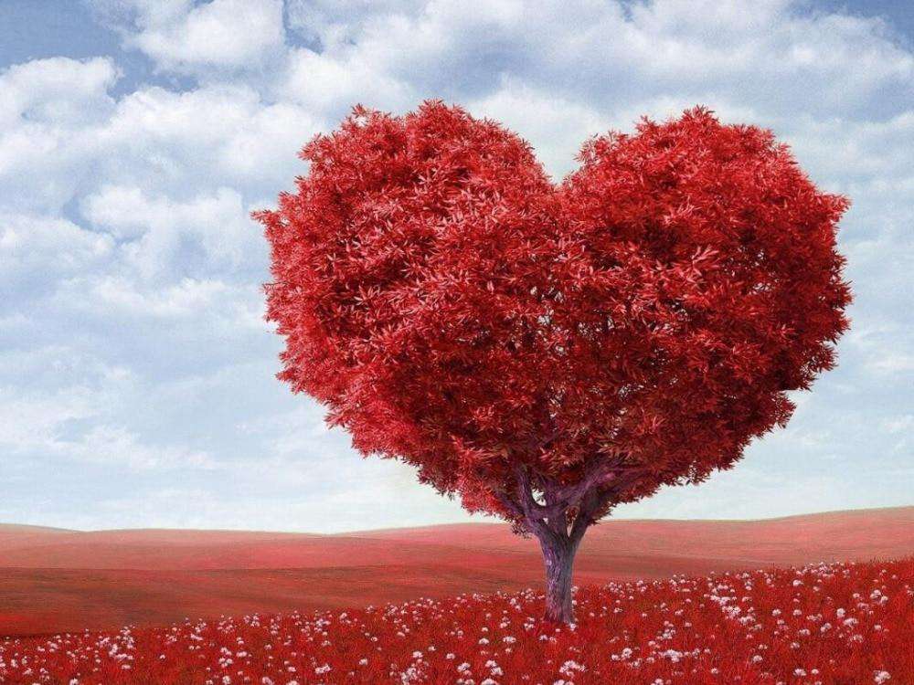 Liefdesboom