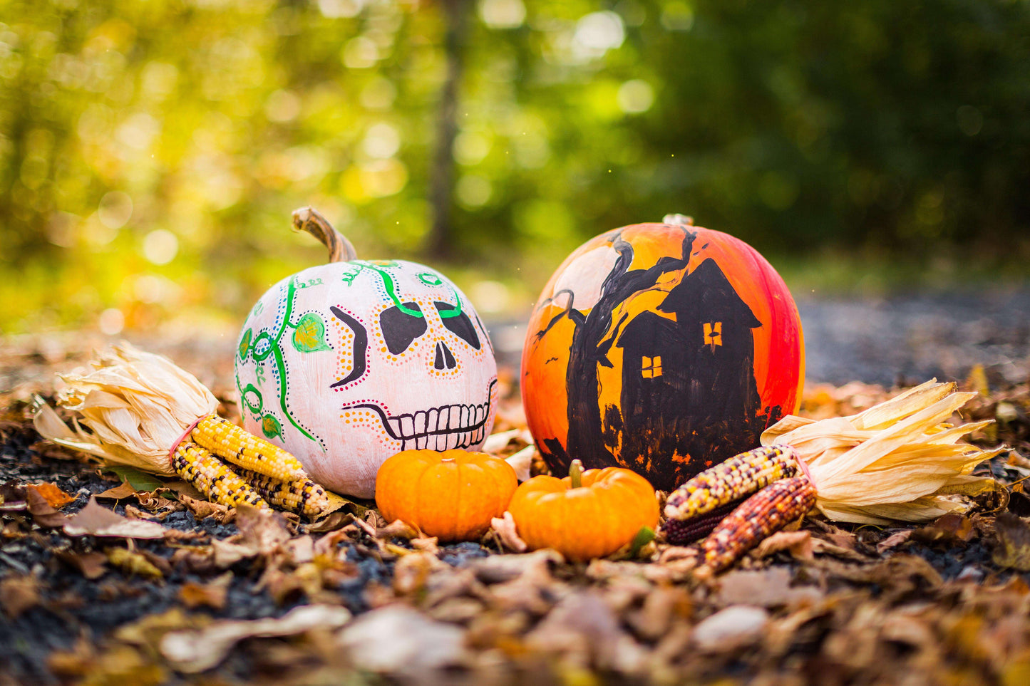 Pompoenen Halloween