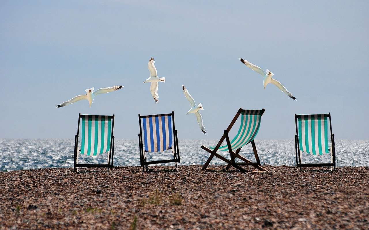 Strandstoelen en Meeuwen