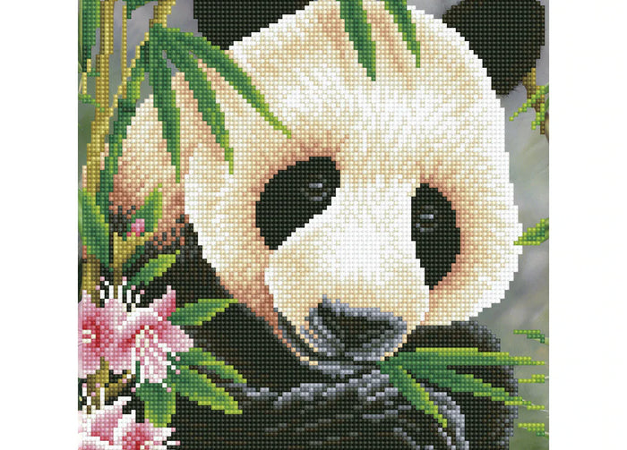 Niedliche Pandas - Tipps fuer dein Diamond Painting