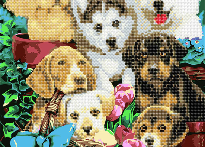 Kleine Hündchen malen nach Zahlen - Diamond Painting Tipps