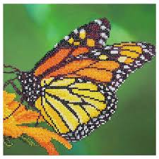 Schmetterling auf einer Blumenwiese - Diamond Painting Tipps