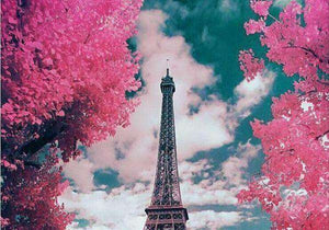 Pariser Eiffelturm mit rosa Bäumen Diamond Painting Motiv