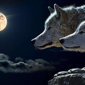 Füchse bei Vollmond - Diamond Painting Fuchsmotiv