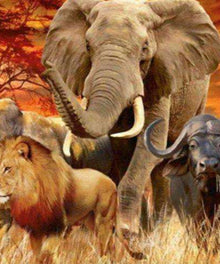 Fünf Wildtiere Savanne Diamond Painting