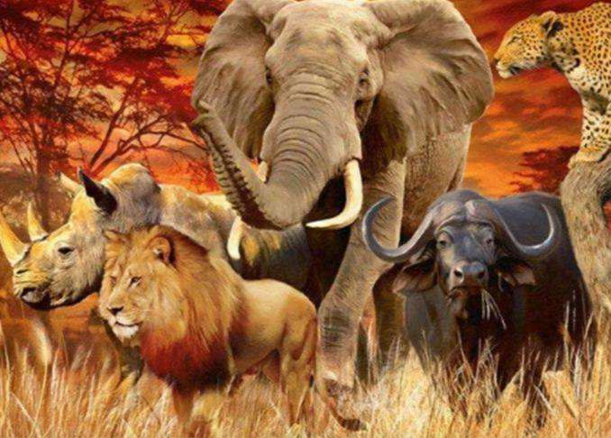 Fünf Wildtiere Savanne Diamond Painting