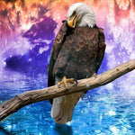 Adler Traumwelt Diamond Painting