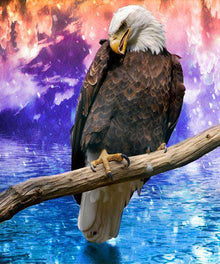 Adler Traumwelt Diamond Painting