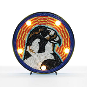 Runde Adler Diamond Painting Lampe mit leuchtenden Punkten