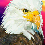 Amerikanischer Adler Diamond Painting