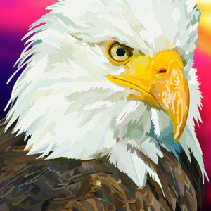 Amerikanischer Adler Diamond Painting