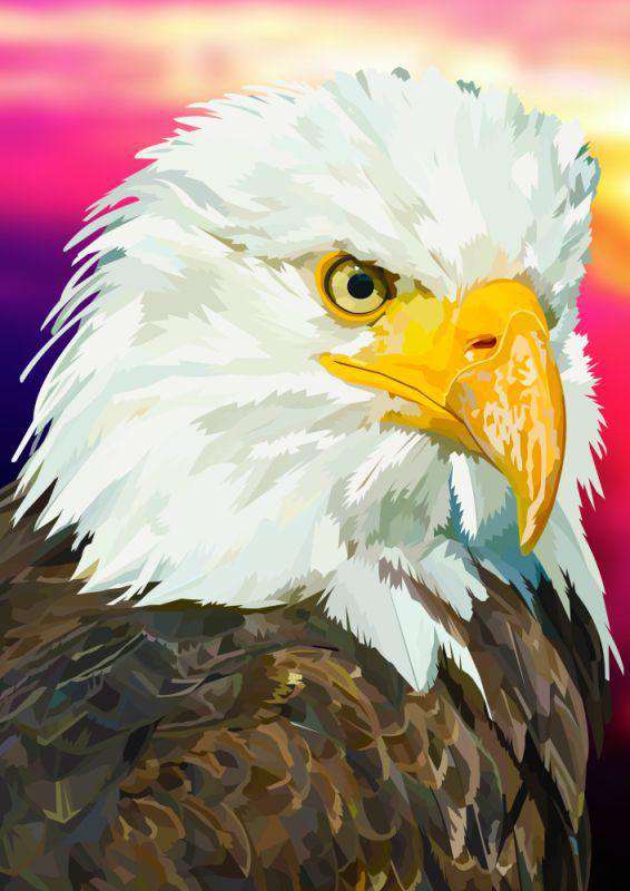 Amerikanischer Adler Diamond Painting