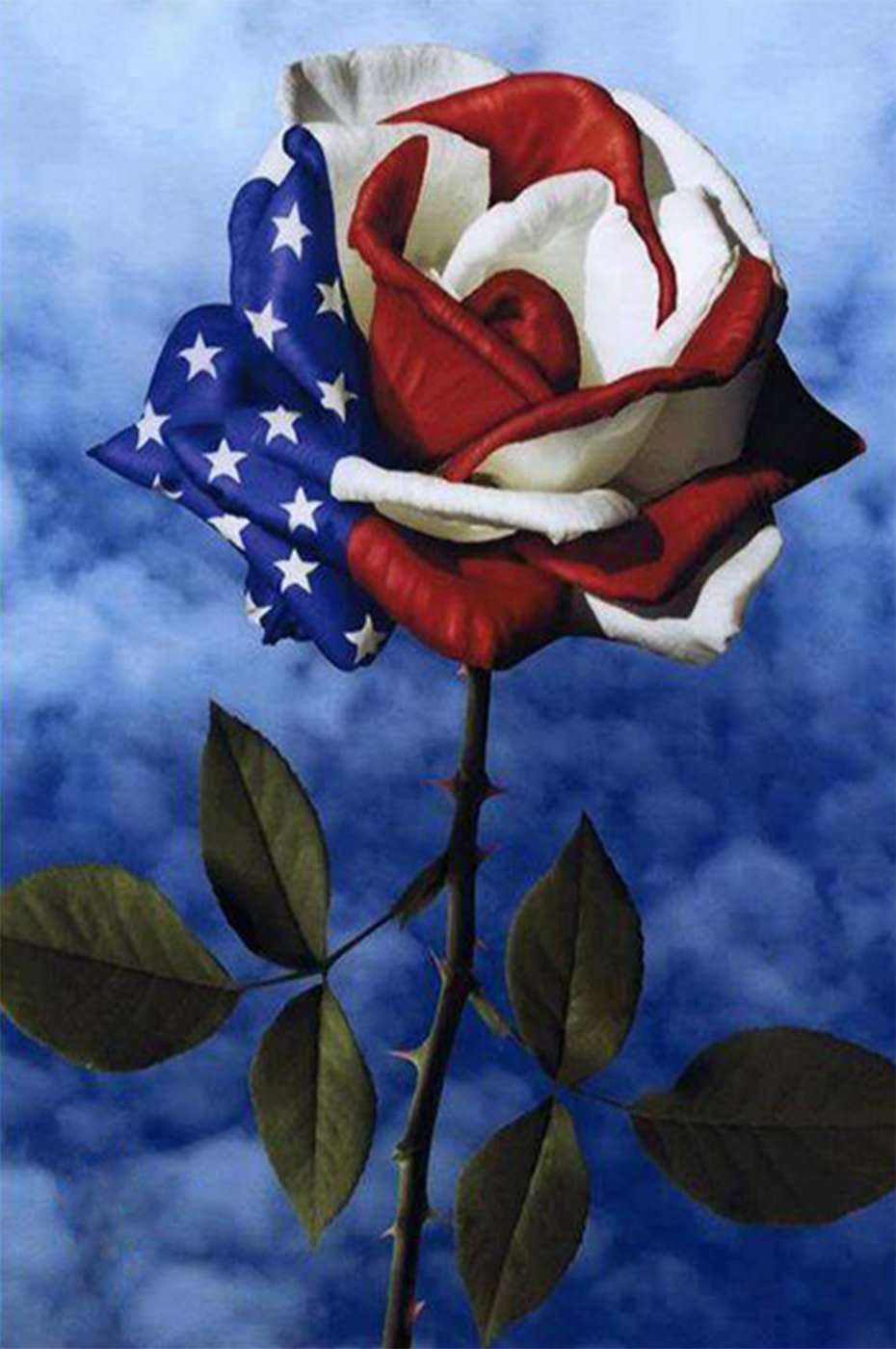 Rose Amerikanische Flagge Diamond Painting