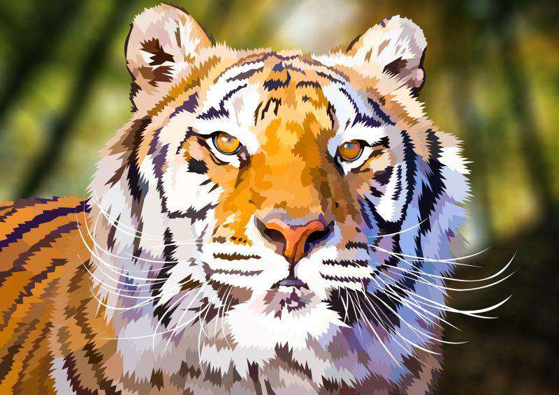Bengalischer Tiger Porträt Diamond Painting
