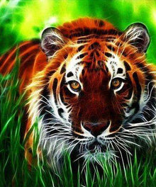 Bengalischer Tiger im Gras Diamond Painting