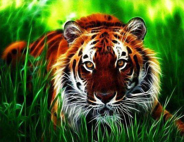 Bengalischer Tiger im Gras Diamond Painting