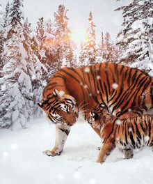 Bengalischer Tiger im Schnee Diamond Painting