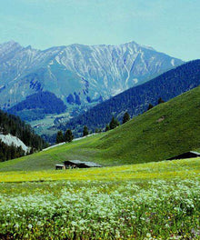Berge Landschaftsmotiv Diamond Painting
