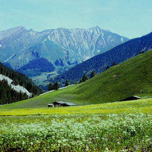 Berge Landschaftsmotiv Diamond Painting
