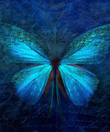 Blauer Schmetterling Diamond Painting
