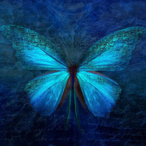 Blauer Schmetterling Diamond Painting