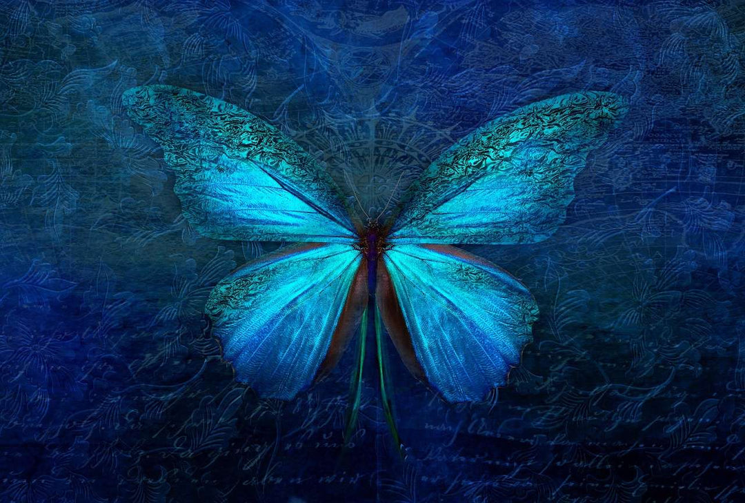 Blauer Schmetterling Diamond Painting