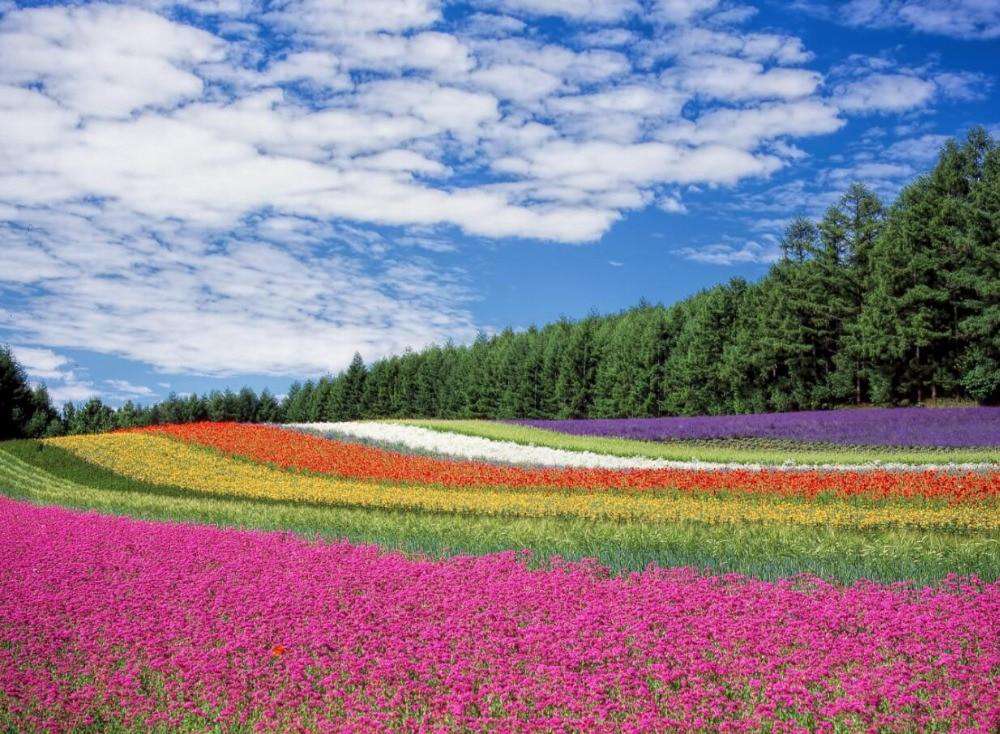 Blumen Landschaft Diamond Painting