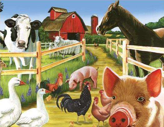 Bauernhofparty Tiere Diamond Painting