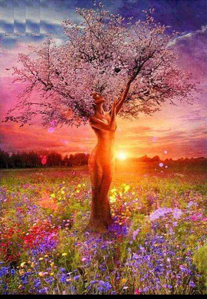 Blühender Baum Sonnenuntergang Diamond Painting