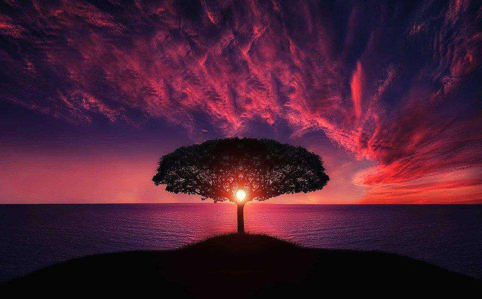 Roter Sonnenuntergangsbaum Diamond Painting mit Baum-Silhouette