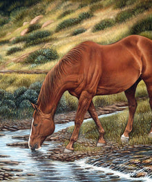 Braunes Pferd am Wasser Diamond Painting