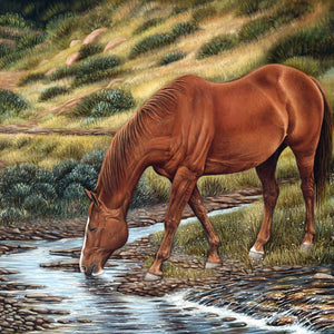 Braunes Pferd am Wasser Diamond Painting