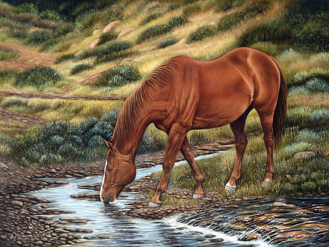 Braunes Pferd am Wasser Diamond Painting