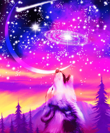 Heulender Wolf im Universum Diamond Painting