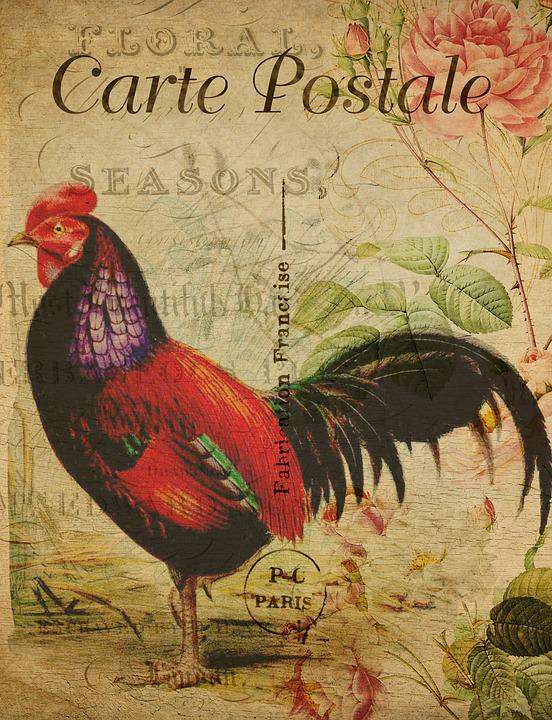 Postkarte mit Hahn Diamond Painting Motiv