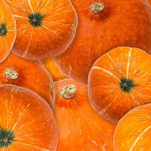 Kürbis Collage Diamond Painting Herbstmotiv