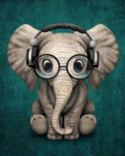 Cooler Elefant Diamond Painting Motiv