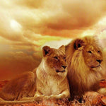 Afrikanischer Traum Löwen Diamond Painting
