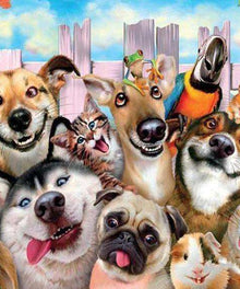 Beste Freunde Tiermotiv Diamond Painting