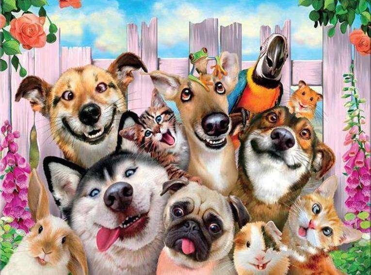 Beste Freunde Tiermotiv Diamond Painting