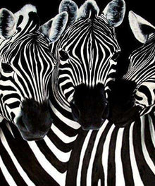 Drei Zebras - Diamond Painting Tiermotiv
