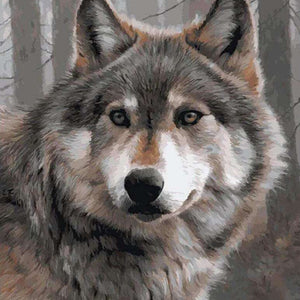 Grauer Wolf Diamond Painting Motiv