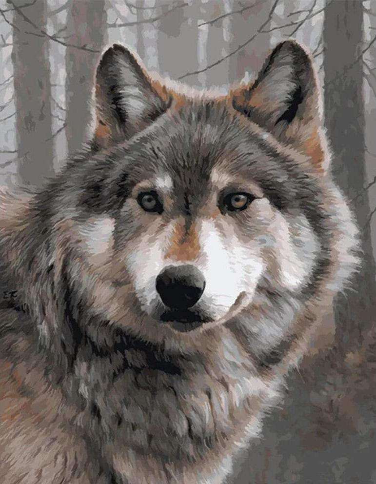 Grauer Wolf Diamond Painting Motiv