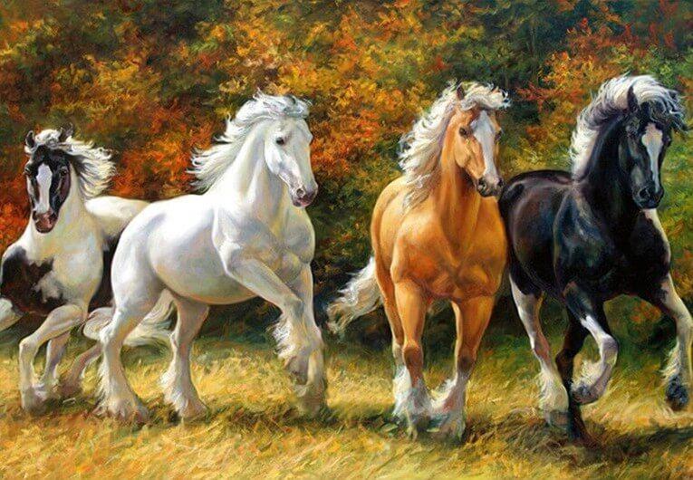 De Mooie Gekleurde Paarden